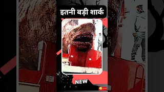 SHARK ने लिए बदला!🦈🦈 #shortvideo  #movie