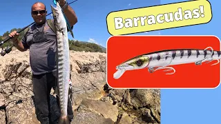 Rock Heavy Spinning! BARRACUDAS in the Shallows! Tips, Tricks & Barra Jerk!