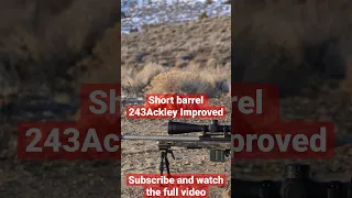 Have You Seen Our New Video, Short Barrel 243 Ackley Improved. #6mm #243 #243AI #hunting