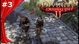 ВЛАЖНАЯ ТАКТИКА. Прохождение Divinity: Original Sin 2 #3