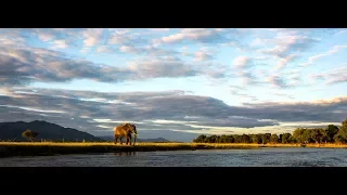 Ruckomechi Camp | Mana Pools National Park | Zimbabwe