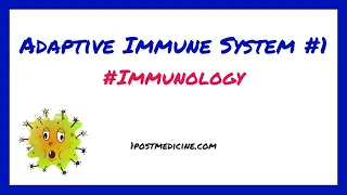 Adaptive Immune System #1 //  Immunology