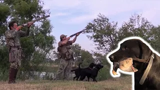 South Texas Dove Hunts Mash-Up