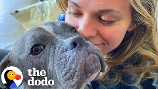 Neglected Puppy Goes On Shopping Spree | The Dodo