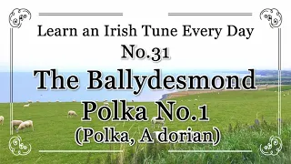 031 The Ballydesmond Polka No 1 (Polka, A dorian) Learn an Irish Tune Every Day.