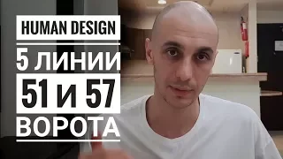 Дизайн Человека 51.5 и 57.5 ворота.  Даниил Трофимов. Human Design