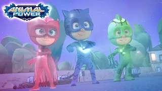 Hero Power Up ⚡ Animal Power ⚡ Full Episodes | PJ Masks Official