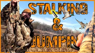 FIRST TIME STALKING & JUMPING DUCKS!