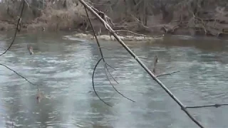 Усадьба Плещеево на Пахре