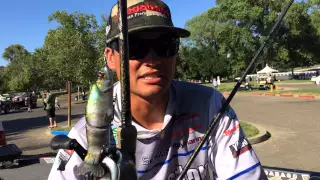 Chris Zaldain Tournament Recap - Bassmaster Elite Sacramento River