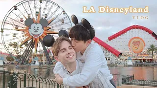 Boyfriends' 1st time at Disneyland Vlog 🎡 Best Birthday, Anniversary | California 2022