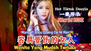 容易受伤的女人 Rong Yi Shou Shang De Ni Ren【Wanita Yang Mudah Terluka】一栗莎子 New DJ抖音版 2022 - (Hot Remix)