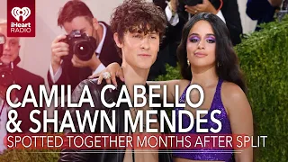 Shawn Mendes & Camila Cabello Spotted Together Months After Split | Fast Facts