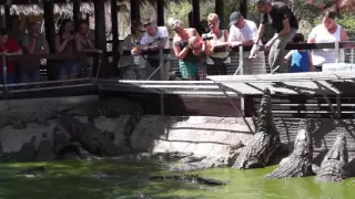 Crocodile Park, Crocodiles park in Torremolinos