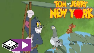 Provaci ancora, Tom! | Tom & Jerry a New York | Boomerang Italia