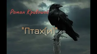 ♫ ПРЕМ'ЄРА ♫ Роман Кривошей - "Птах(и)"