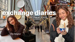 Exchange Diaries | Daytrip to Rotterdam, going to school & visiting The Hague