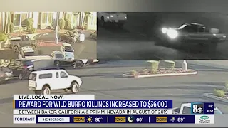 BLM increases reward for information on California wild burro killings