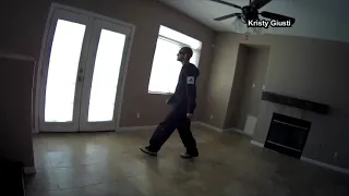 VIDEO: Home surveillance catches invader come through doggie door