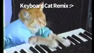 Keyboard cat remix :)