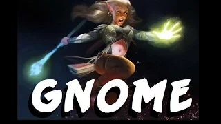 Monster Ecology: Gnome