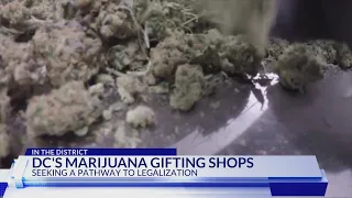 Marijuana gifting shops see pathway to legalization from DC City Council