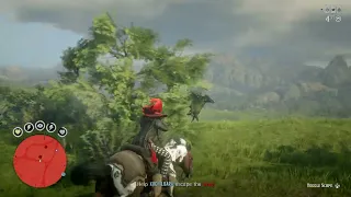 Red Dead Online - Hunted by Bounty Hunters