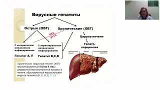 Школа клинического мышления педиатра. Лекция: Борзакова С.Н. Хронические вирусные гепатиты у детей