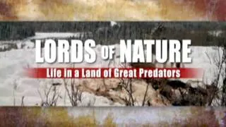 Lord of nature : Life in a land of Great Predators .  part 1