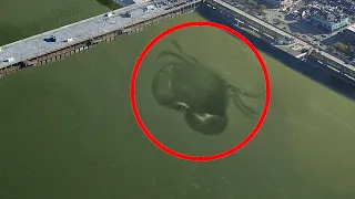 10 Most Mysterious Creatures Spotted On Google Earth!