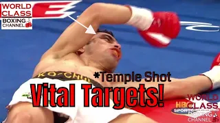 Vital Targets | Video Series | The Temple Shot