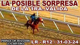 ESTE CABALLO PUDIERA SORPRENDER EN LA 5TA. CARRERA / LA RINCONADA 31-03-24 / R12 .