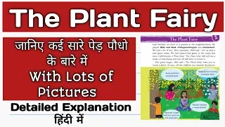 NCERT Class 3 EVS Chapter 2 THE PLANT FAIRY  with हिंदी explanation | CBSE Class 3 EVS Chapter 2