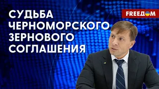 Продление зерновой сделки. Украина спасает мир от голода. Мнение эксперта