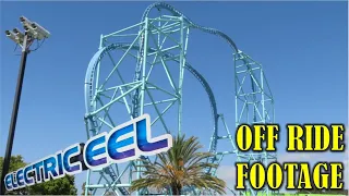 Electric Eel at Sea World San Diego Off-Ride Footage (No Copyright)