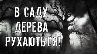 ЦІ ДЕРЕВА РУХАЮТЬСЯ! Страшні історії про село. Моторошні історії