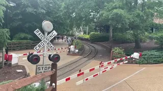 Busch Gardens Train Crossing #2