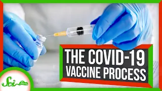 How to Make a COVID-19 Vaccine