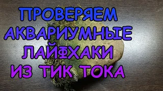 ПРОВЕРЯЕМ АКВАРИУМНЫЕ ЛАЙФХАКИ ИЗ ТИК ТОКА