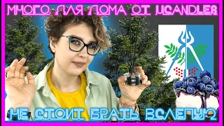 UCANDLES | Парфюм и ароматы для дома от российского бренда - пробуем разные продукты! Стоит брать?