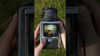 One more iconic feature of Hasselblad film cameras - the shutter sound. #shorts