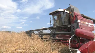 Все районы Гомельской области приступили к уборке зерновых