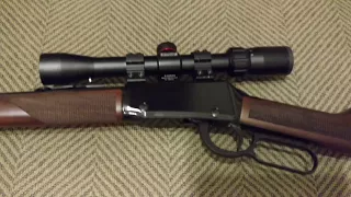 Henry 22 Magnum with Simmons scope