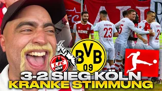 1.FC KÖLN- BVB 3-2 Stadionvlog/Highlights 🤩🤩