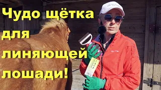 Самая лучшая щётка для линяющей лошади!