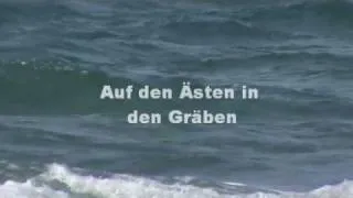 Rammstein- Ohne dich + Lyrics (on screen) + English Translation