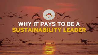 How Being a Sustainability Leader Can Help Boost Profit