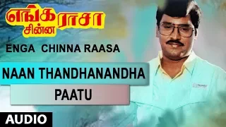 Naan Thandhanandha Paatu Full Song | Enga Chinna Raasa | K.Bhagyaraj, Radha | Shankar-Ganesh