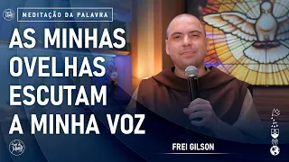 As minhas ovelhas escutam a minha voz | (Jo 10, 27-30) #748- Meditação da Palavra