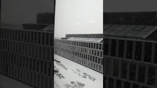 Heavy Snowfall in Copenhagen Denmark  - Jan 2019